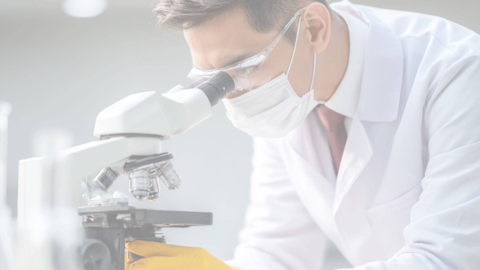 Lactobacillus reuteri DSM 17648 reduce la carga de Helicobacter pylori