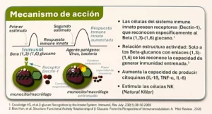 Mecanismo de accion